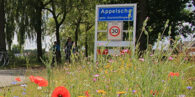 appelscha kopiëren